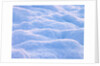 Snow by Assaf Frank